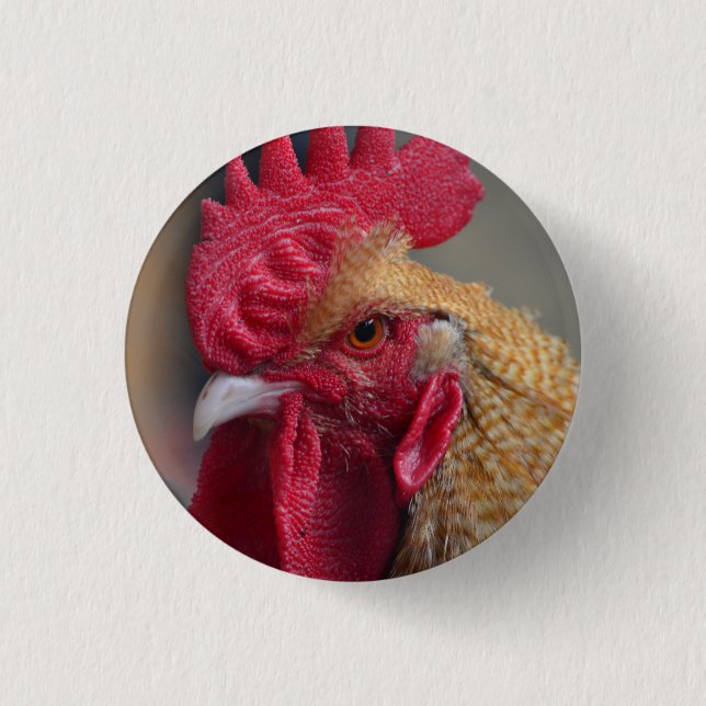 Chapa Redonda De 2,5 Cm Pollo del gallo (Anverso)