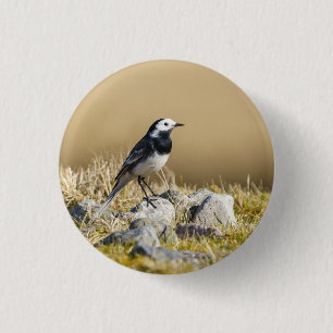 Chapa Redonda De 2,5 Cm Posando Wagtail