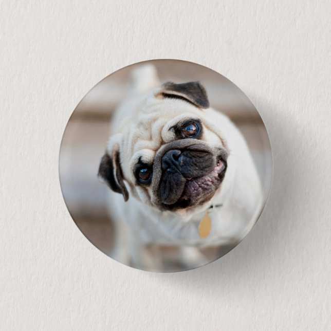 Chapa Redonda De 2,5 Cm Pug Head Tilt (Anverso)
