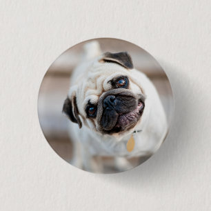 Chapa Redonda De 2,5 Cm Pug Head Tilt