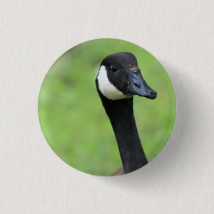 Chapa Redonda De 2,5 Cm ¿Qué?