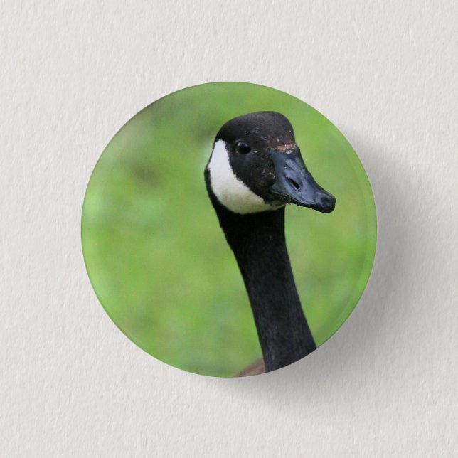 Chapa Redonda De 2,5 Cm ¿Qué? (Anverso)