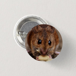Chapa Redonda De 2,5 Cm Ratón marrón comiendo cacahuete