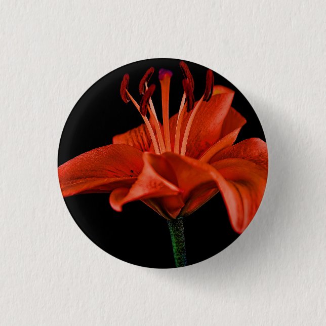 Chapa Redonda De 2,5 Cm Red Lily On Black (Anverso)