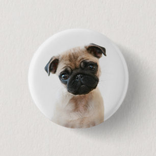 Chapa Redonda De 2,5 Cm Retrato de Baby Pug