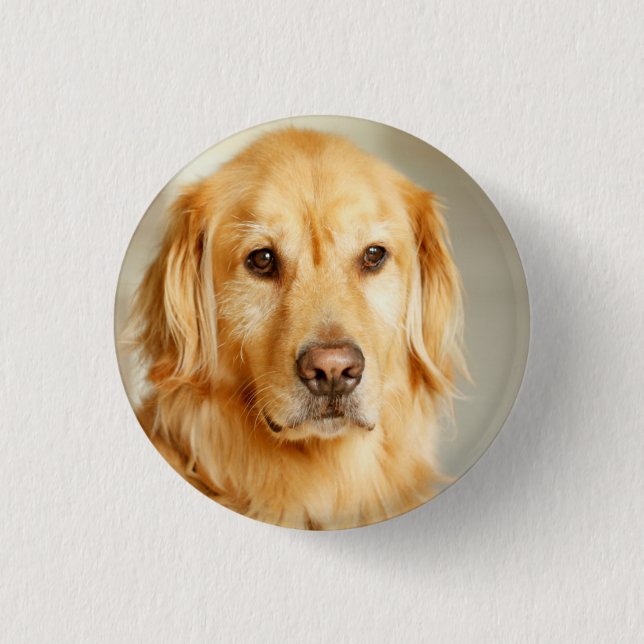 Chapa Redonda De 2,5 Cm Retrato de Golden Retriever (Anverso)