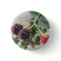 Ripening Blackberries