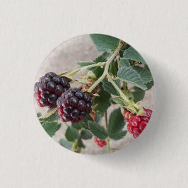 Chapa Redonda De 2,5 Cm Ripening Blackberries