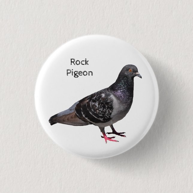 Chapa Redonda De 2,5 Cm Rock Pigeon (Anverso)