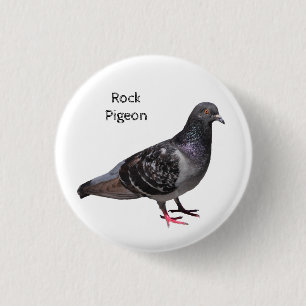 Chapa Redonda De 2,5 Cm Rock Pigeon