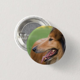 Chapa Redonda De 2,5 Cm Rough Collie Face
