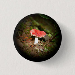 Chapa Redonda De 2,5 Cm Rússula de sombrero rojo