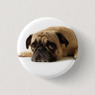 Chapa Redonda De 2,5 Cm Sad Pug