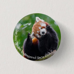 Chapa Redonda De 2,5 Cm Salvar nuestros Pandas Rojos