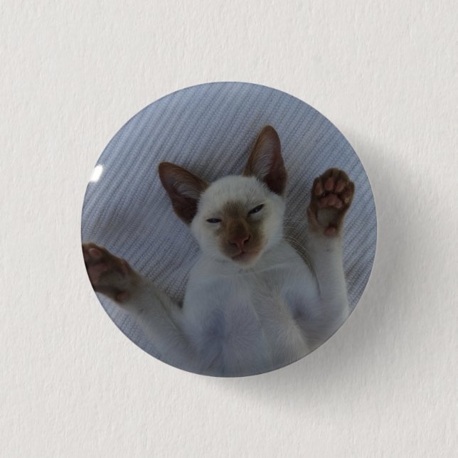Chapa Redonda De 2,5 Cm Siamese cat button (Anverso)