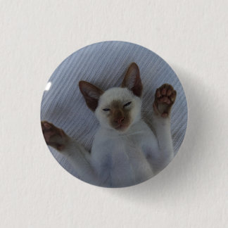 Chapa Redonda De 2,5 Cm Siamese cat button