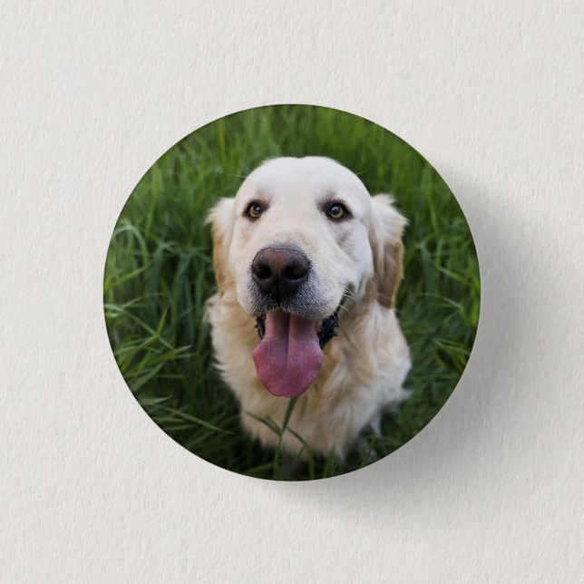Chapa Redonda De 2,5 Cm Sonriente Golden Retriever (Anverso)