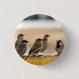 Chapa Redonda De 2,5 Cm Sparrows