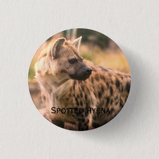 Chapa Redonda De 2,5 Cm Spotted hyena：Savannah sunset (Anverso)
