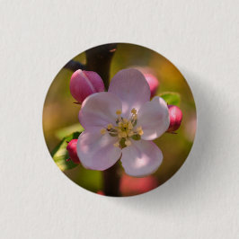 Chapa Redonda De 2,5 Cm Spring Apple Blossom