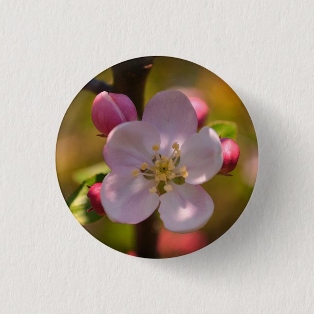 Chapa Redonda De 2,5 Cm Spring Apple Blossom (Anverso)