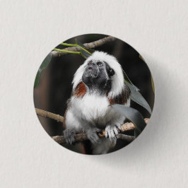 Chapa Redonda De 2,5 Cm Tamarin Badge