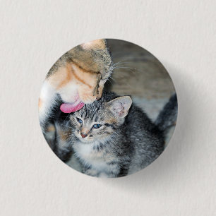 Chapa Redonda De 2,5 Cm Tiempo de baño