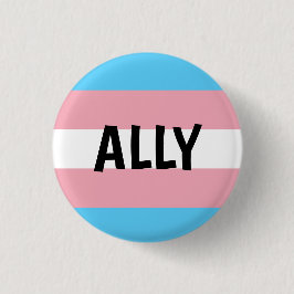 Chapa Redonda De 2,5 Cm Trans Ally