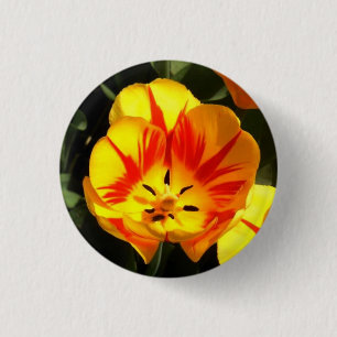 Chapa Redonda De 2,5 Cm Tulip