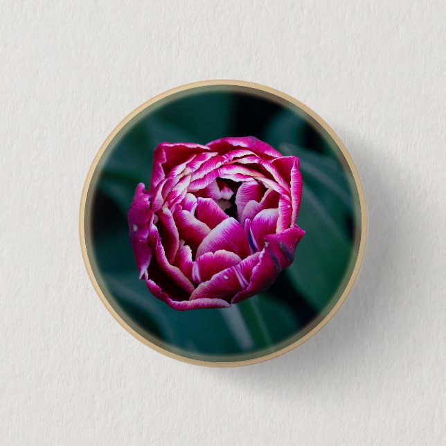 Chapa Redonda De 2,5 Cm Tulip de moody rosa (Anverso)