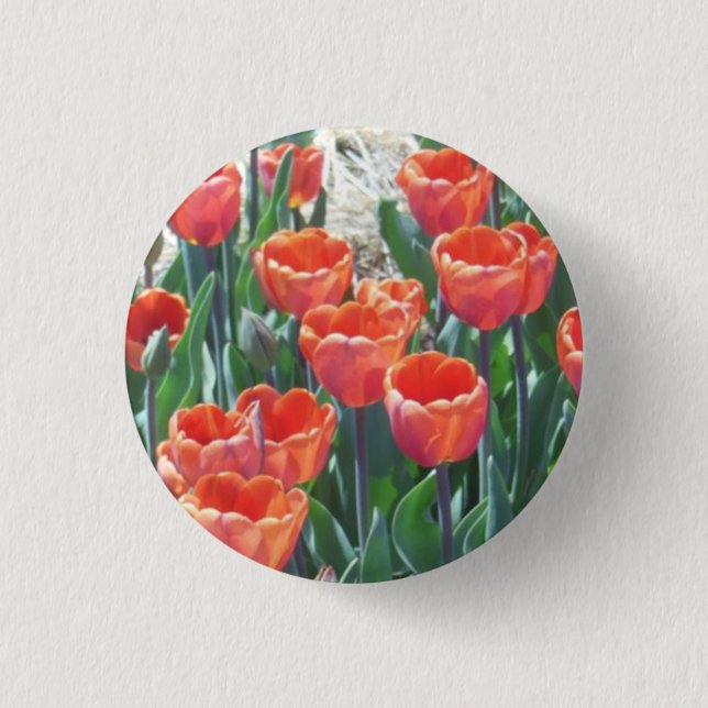 Chapa Redonda De 2,5 Cm Tulipanes naranja-Rojo (Anverso)