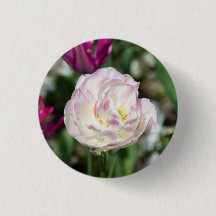 Tulipanes rosa brillante en un día soleado