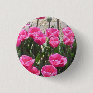 Chapa Redonda De 2,5 Cm Tulipanes rosados