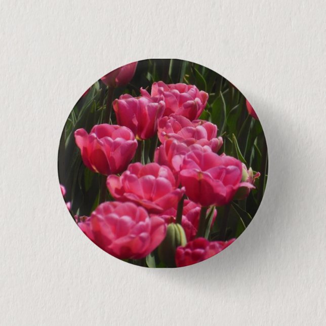 Chapa Redonda De 2,5 Cm Tulipanes rosados (Anverso)