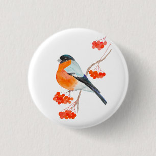 Chapa Redonda De 2,5 Cm Un gracioso bullfinch en una rama de un árbol de r