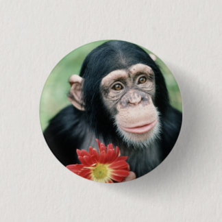 Chapa Redonda De 2,5 Cm ¿Usted me casará?