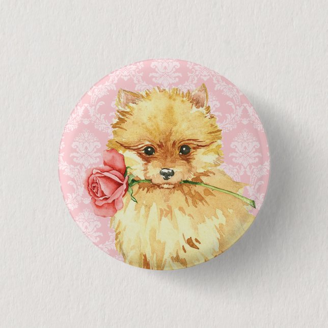 Chapa Redonda De 2,5 Cm Valentine Rosa Pomeranian (Anverso)