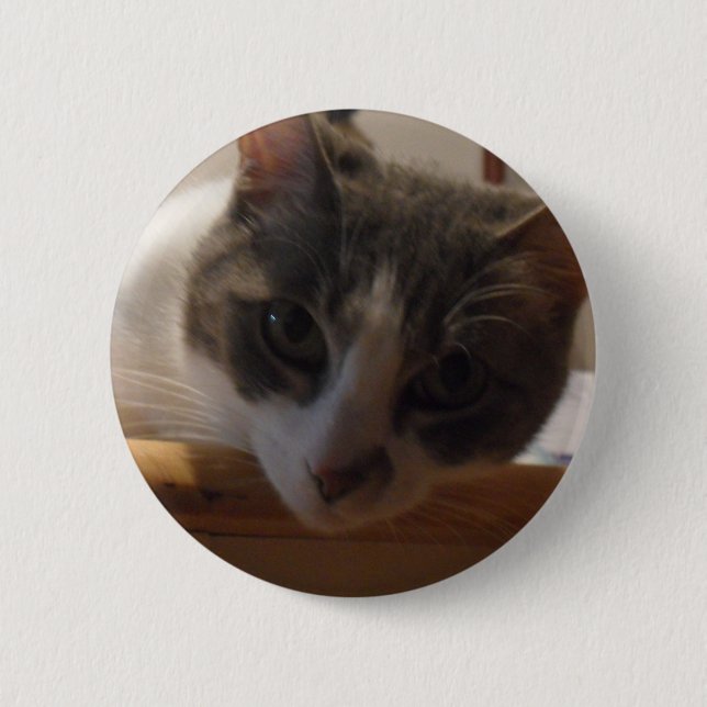 CHAPA REDONDA DE 5 CM 2010_04020026 (Anverso)