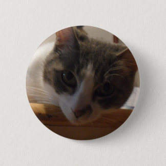 CHAPA REDONDA DE 5 CM 2010_04020026