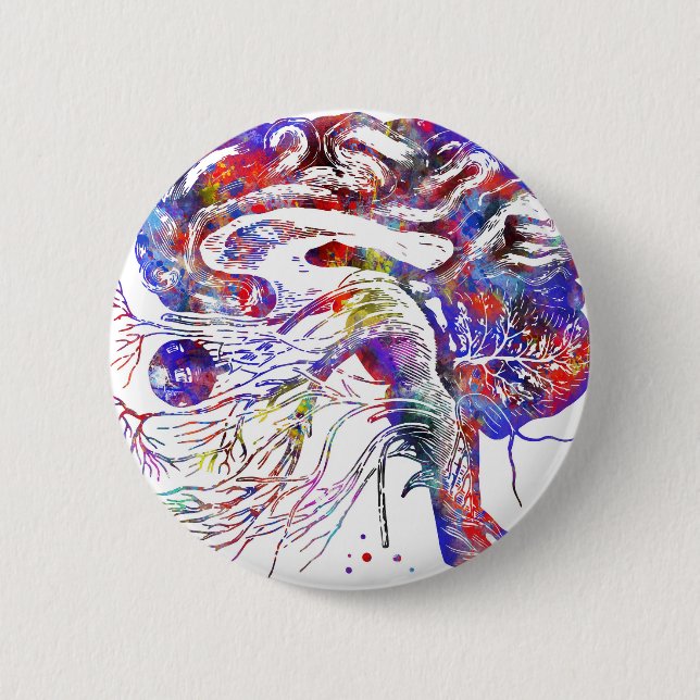 Chapa Redonda De 5 Cm 4522bBrain nervios craneales, nervios craneales (Anverso)