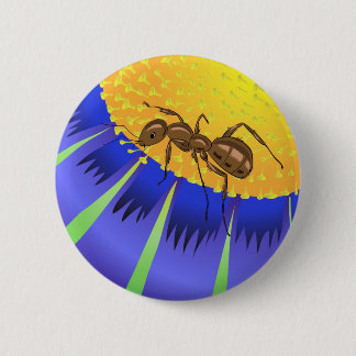 Chapa Redonda De 5 Cm 50ant