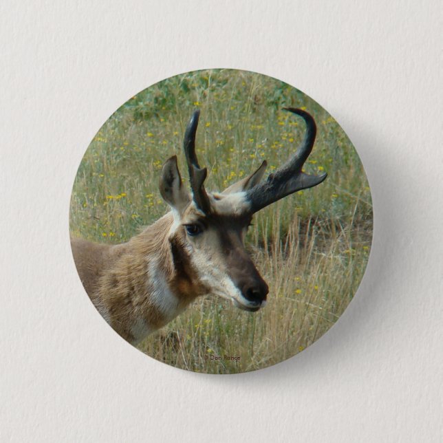 Chapa Redonda De 5 Cm A12 Pronghorn Antelope (Anverso)