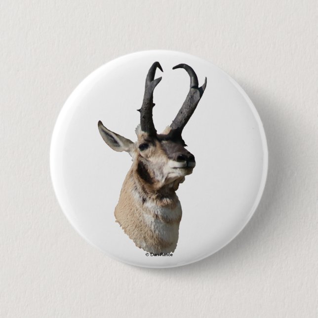 Chapa Redonda De 5 Cm A18 Pronghorn Antelope Head (Anverso)