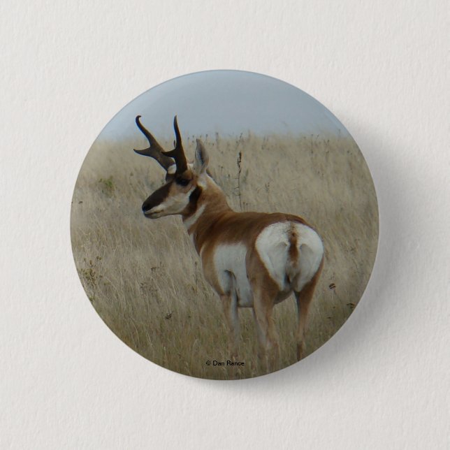 Chapa Redonda De 5 Cm A22 Pronghorn Antelope (Anverso)
