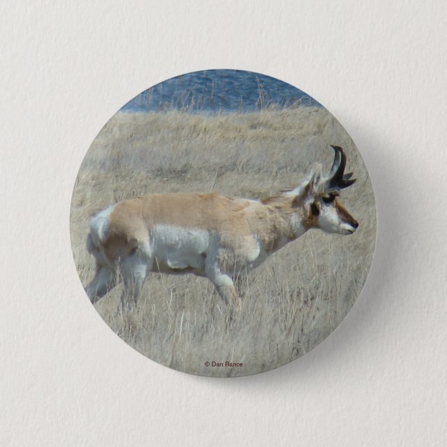 Chapa Redonda De 5 Cm A25 Pronghorn Antelope (Anverso)