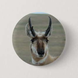 Chapa Redonda De 5 Cm A30 Pronghorn Antelope Joven Cabeza de Pie Dispara