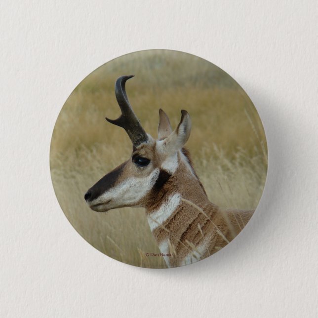 Chapa Redonda De 5 Cm A4 Pronghorn Antelope (Anverso)