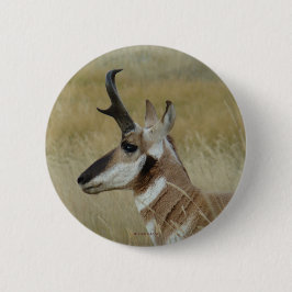 Chapa Redonda De 5 Cm A4 Pronghorn Antelope