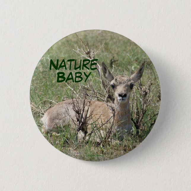Chapa Redonda De 5 Cm A7 Bebé Pronghorn Antelope (Anverso)