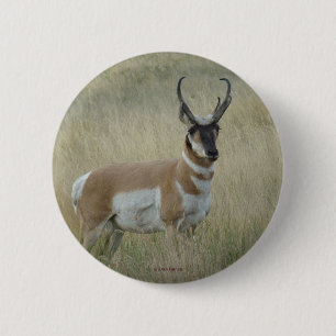 Chapa Redonda De 5 Cm A8 Pronghorn Antelope